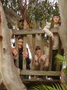 3 cousins in an awesome treehouse