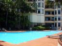 Dad’s pool in Wollstonecraft