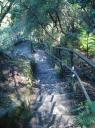 Furber Steps
