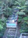 The Scenic Railway